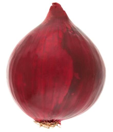 Dragon Fruit