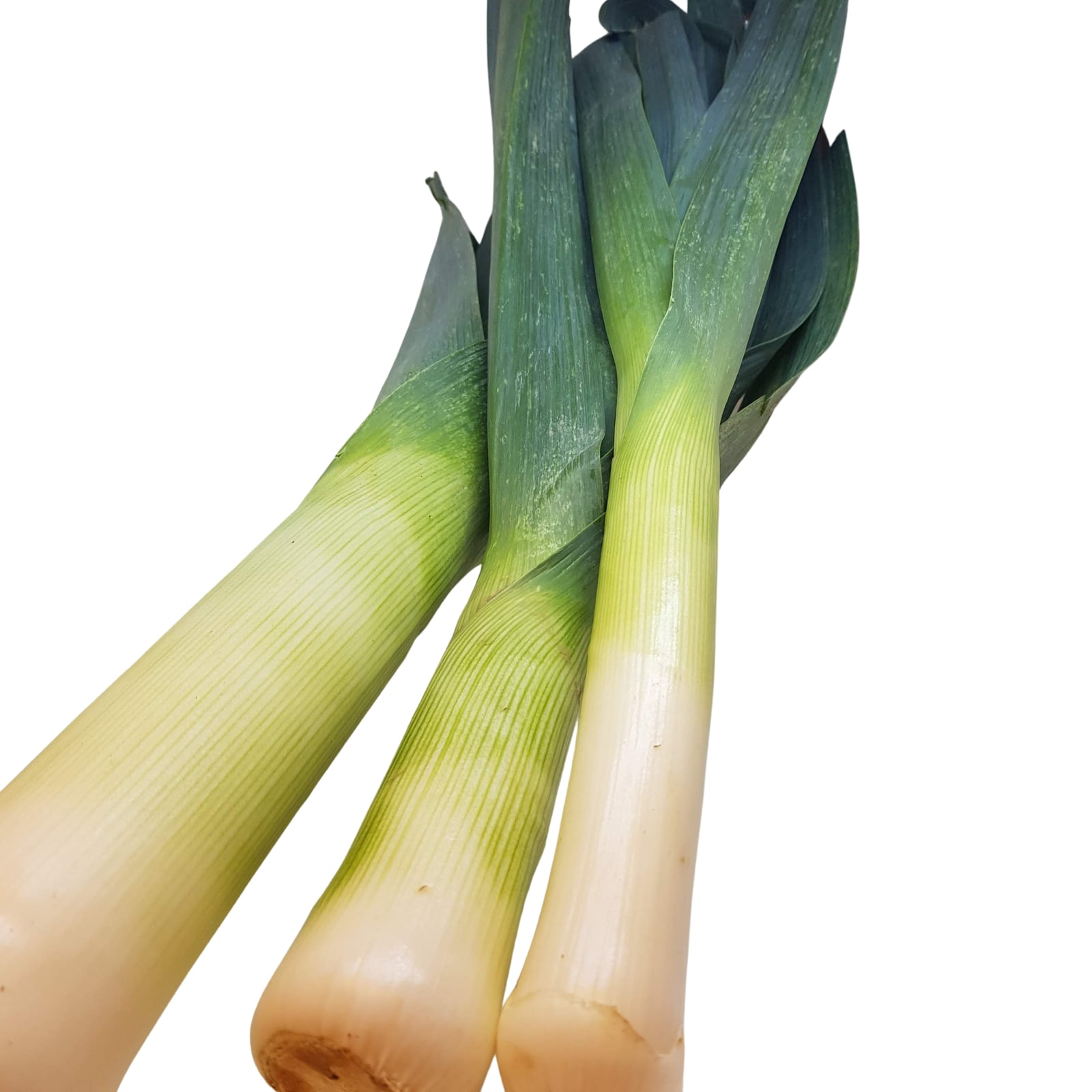 Leek & Celery